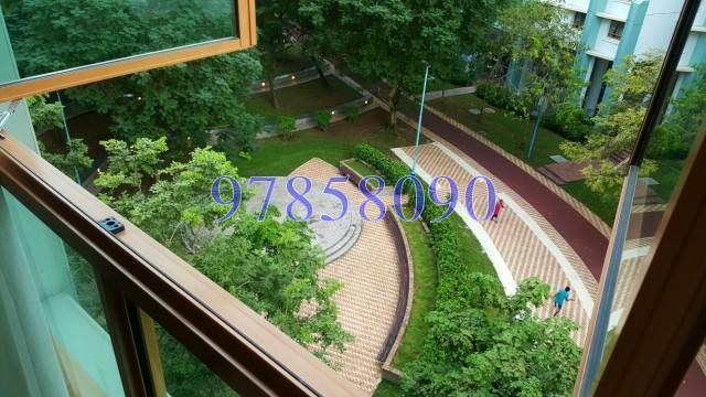 Blk 316C Anchorvale Link (Sengkang), HDB Executive #135470812